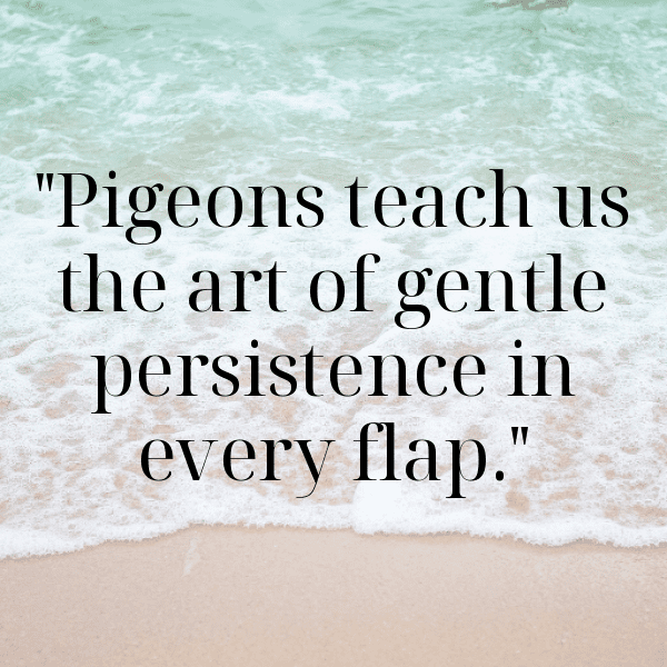 217+ Pigeon Captions For Instagram (Fresh & Trendy) 9 Pigeon Captions Photo For Instagram-Wp2XVM