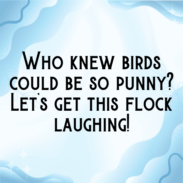 217+ Pigeon Captions For Instagram (Fresh & Trendy) 13 Pigeon Captions Photo For Instagram-xZWv3F