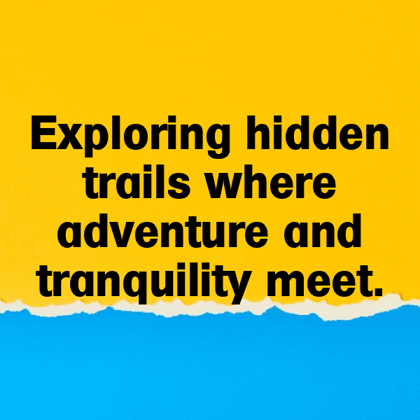 Pigeon Pea Captions Image For Instagram-h70SG1