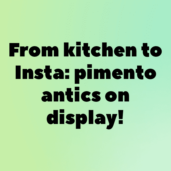 Pimento Captions Photo For Instagram-OuQ9hO