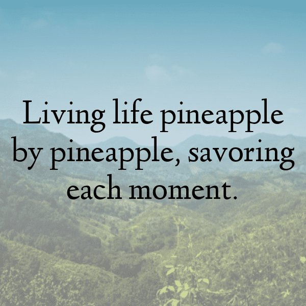 Pineapple Captions Image For Instagram-i0ghFx