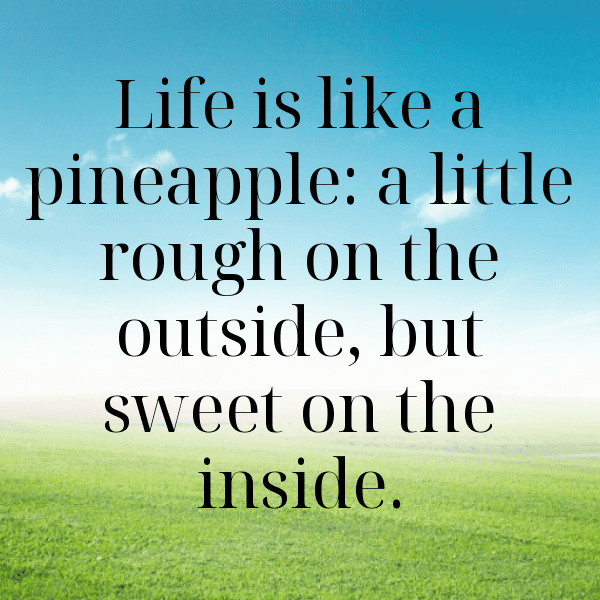 Pineapple Captions Photo For Instagram-dtxfX4