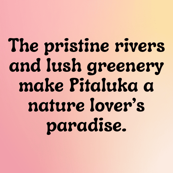 282+ Pitanga Captions For Instagram (Fresh & Trendy) 12 Pitanga Captions Image For Instagram-nJYXJ1