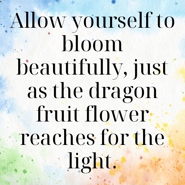 265+ Pitaya Captions For Instagram (Best, Funny & Short) 6 Pitaya Captions Image For Instagram-3EvKOA