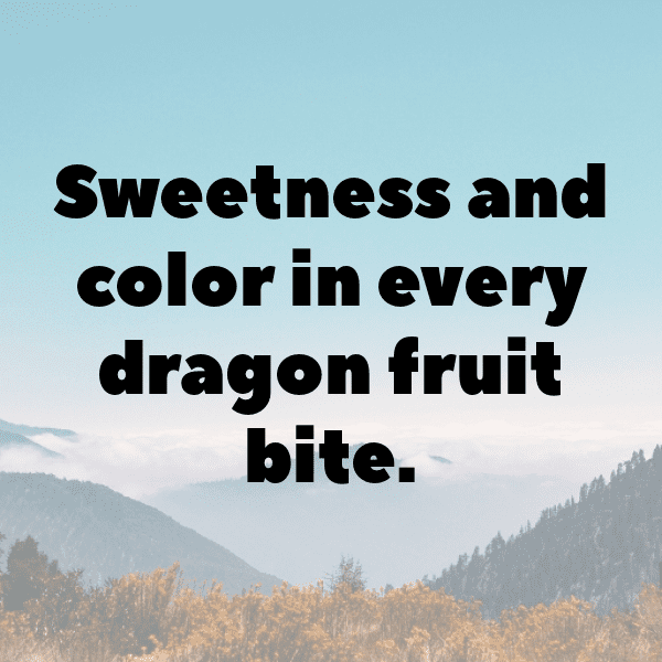 265+ Pitaya Captions For Instagram (Best, Funny & Short) 5 Pitaya Captions Image For Instagram-HUW2Hk