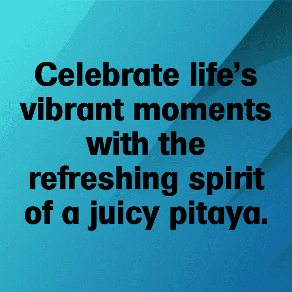 265+ Pitaya Captions For Instagram (Best, Funny & Short) 18 Pitaya Captions Image For Instagram-ZW44Gm