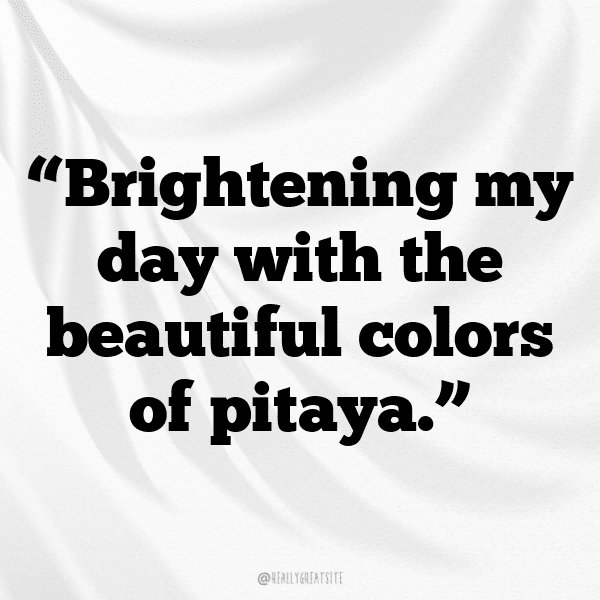 265+ Pitaya Captions For Instagram (Best, Funny & Short) 9 Pitaya Captions Photo For Instagram-vKSoJO