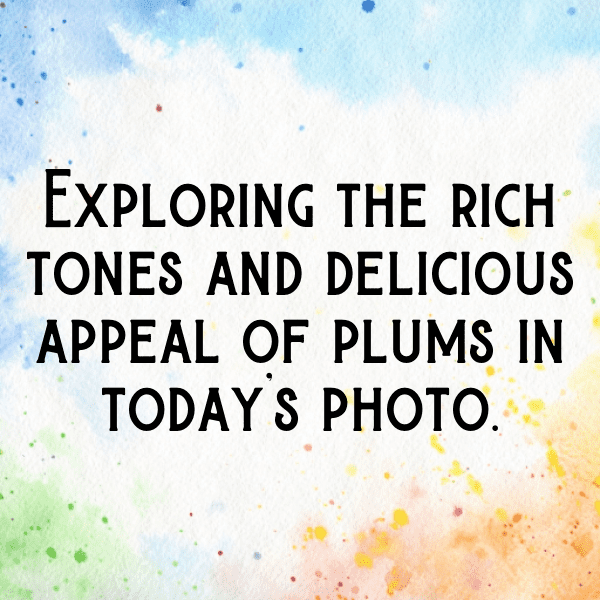 265+ Pitaya Captions For Instagram (Best, Funny & Short) 10 Pitaya Captions Photo For Instagram-ZNDeVY