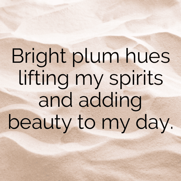 Plumcot Captions Photo For Instagram-YilhA3