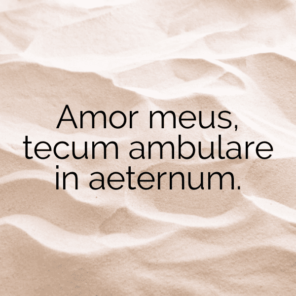 281+ Poland Captions For Instagram In 2025 13 Poland Captions Image For Instagram-CU2cFH