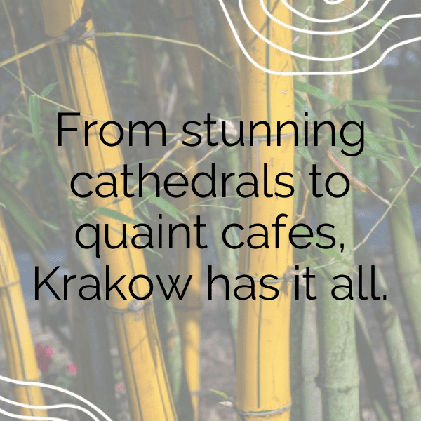 281+ Poland Captions For Instagram In 2025 4 Poland Captions Image For Instagram-OeapRh