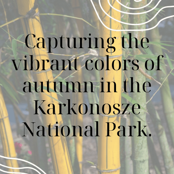 281+ Poland Captions For Instagram In 2025 6 Poland Captions Photo For Instagram-otQa4B