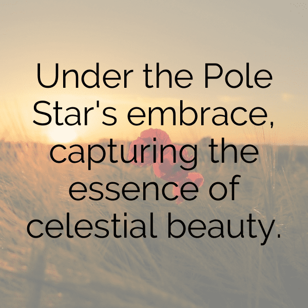 346+ Polestar 2 Captions for Instagram (Short, Trending & Viral) 11 Polestar 2 Captions Image for Instagram-KeigYA