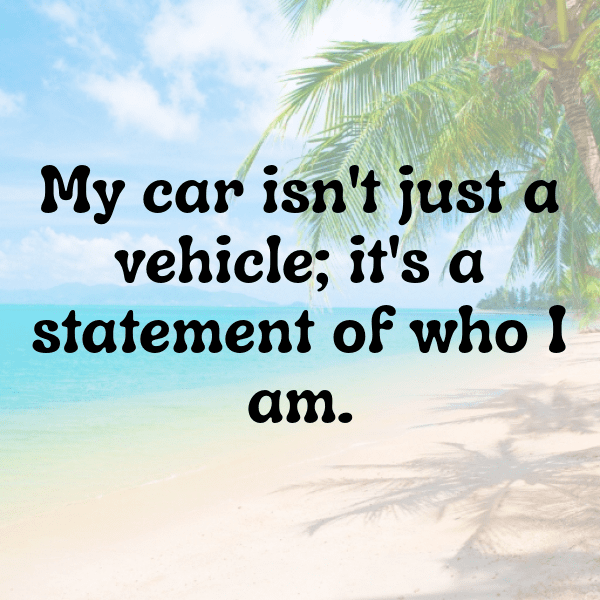 346+ Polestar 2 Captions for Instagram (Short, Trending & Viral) 4 Polestar 2 Captions Photo for Instagram-51QYEd