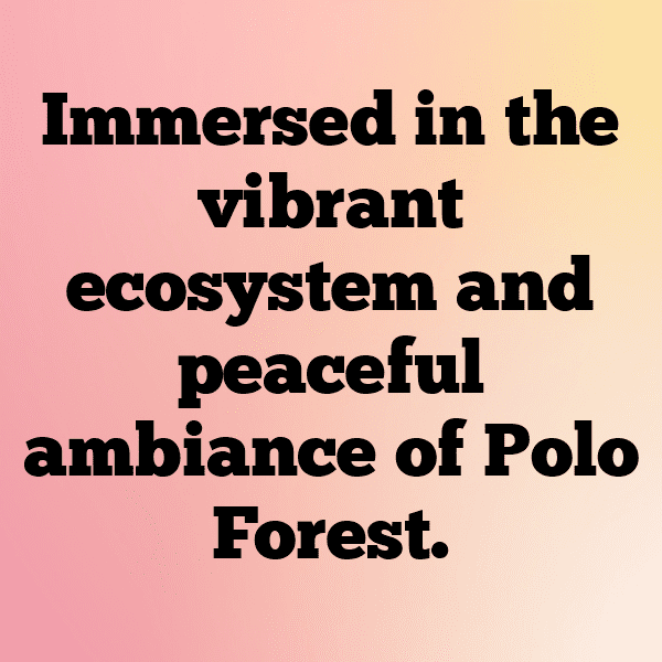 310+ Polo Captions for Instagram (Best, Funny & Short) 11 Polo Captions Image for Instagram-fA7oIl