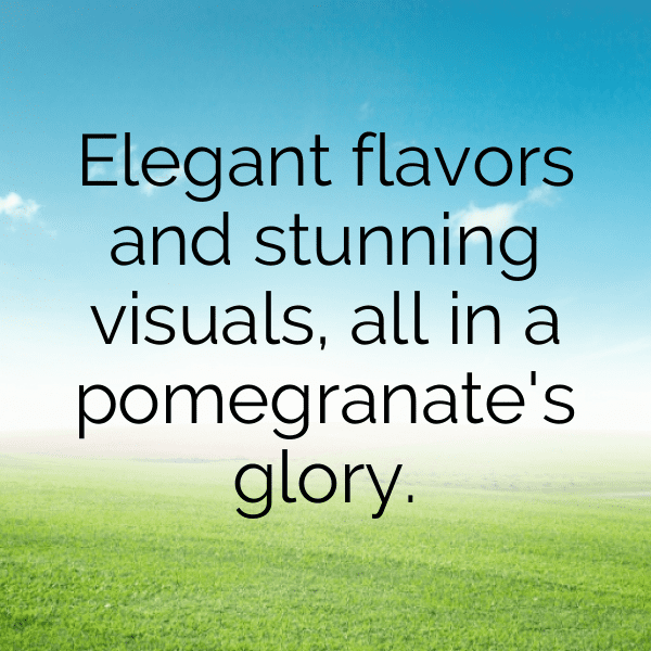 Pomegranate Captions Image For Instagram-NFiicr