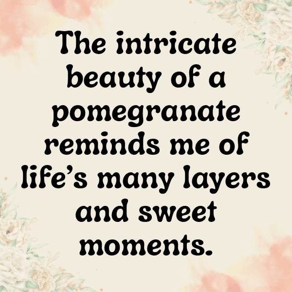 Pomegranate Captions Image For Instagram-QMZZ0T