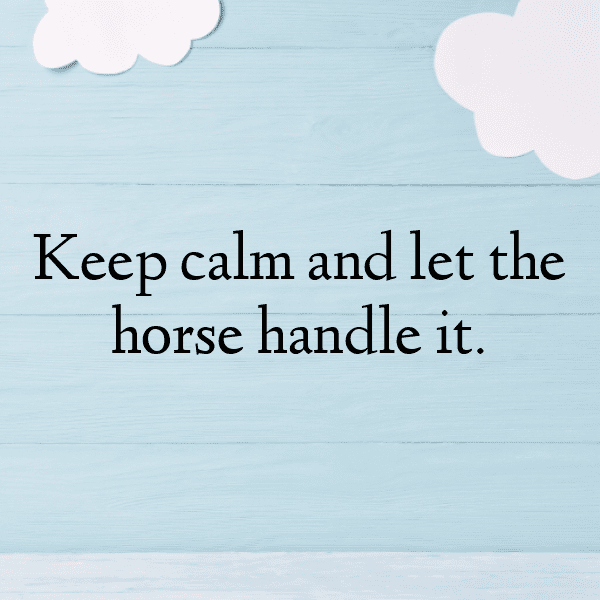 Pony Captions Image For Instagram-G8KFoe