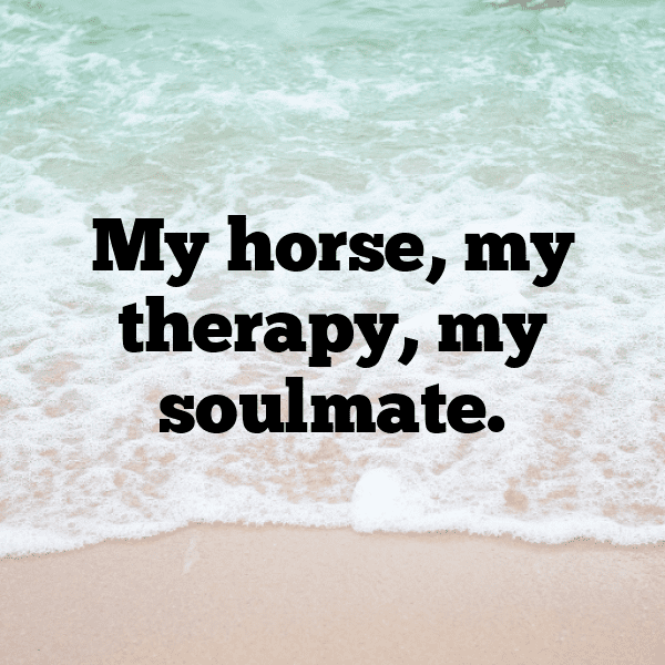 Pony Captions Photo For Instagram-lzEE0Q