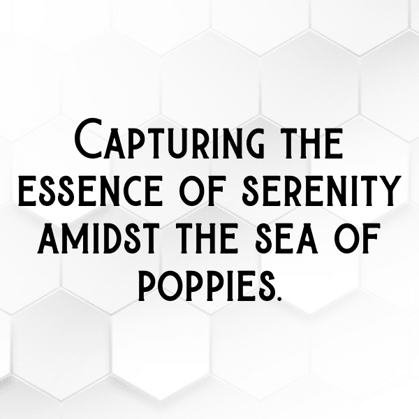 Poppy Captions Image For Instagram-2m9mR4