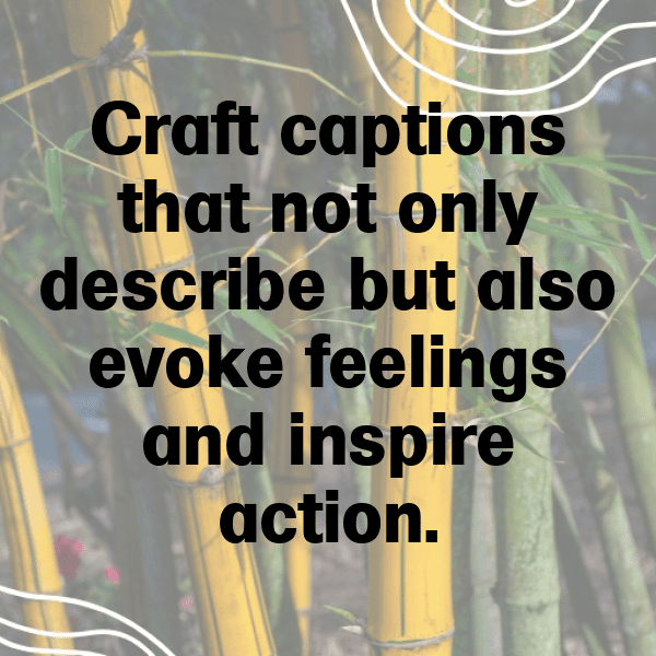 Poppy Captions Photo For Instagram-KS8OG7