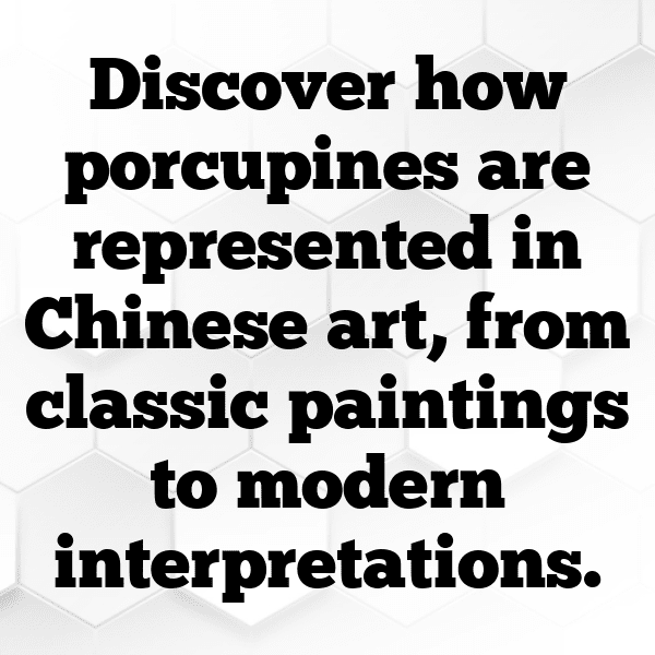 Porcupine Captions Image For Instagram-7s889M