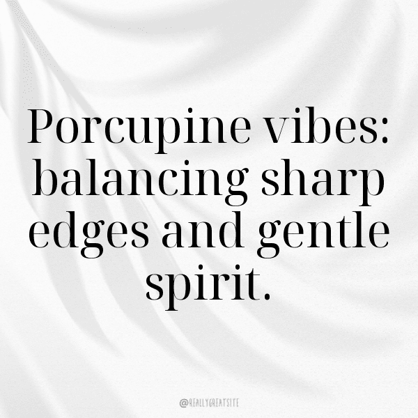 Porcupine Captions Photo For Instagram-08DG6z