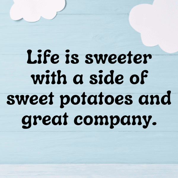 272+ Potato Captions For Instagram (Trending, Funny & Top) 17 Potato Captions Photo For Instagram-P1qZ2f