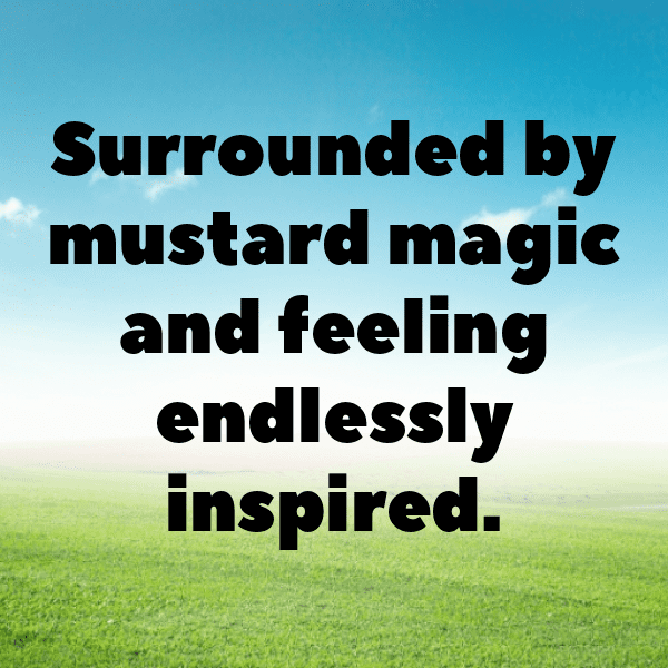 209+ Potherb Mustard Captions For Instagram In 2025 4 Potherb Mustard Captions Photo For Instagram-iaBr35