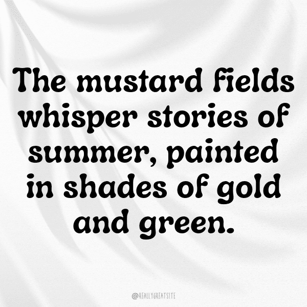 209+ Potherb Mustard Captions For Instagram In 2025 14 Potherb Mustard Captions Photo For Instagram-TNob6k