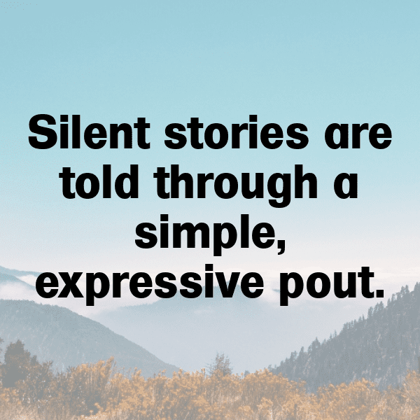 344+ Pouteria Captions For Instagram In 2025 13 Pouteria Captions Image For Instagram-taHdLa