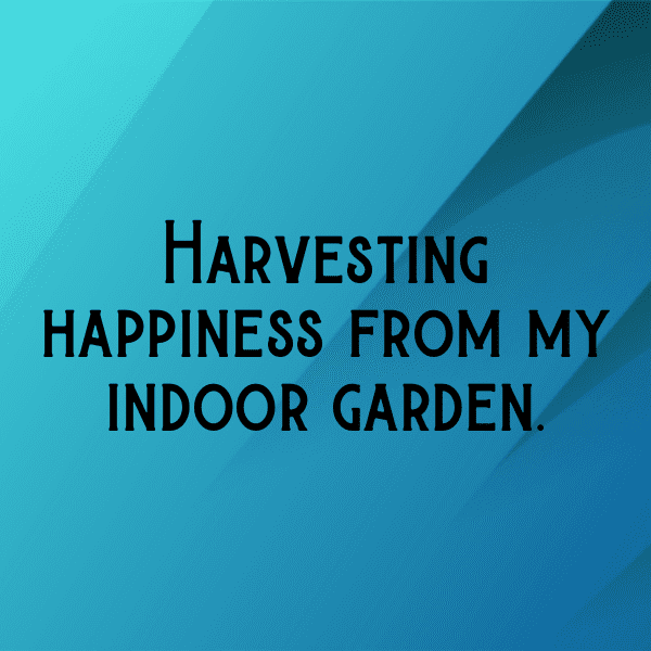 344+ Pouteria Captions For Instagram In 2025 5 Pouteria Captions Photo For Instagram-VHb0bQ