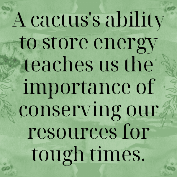 Prickly Pear Captions Image For Instagram-ytCNbf