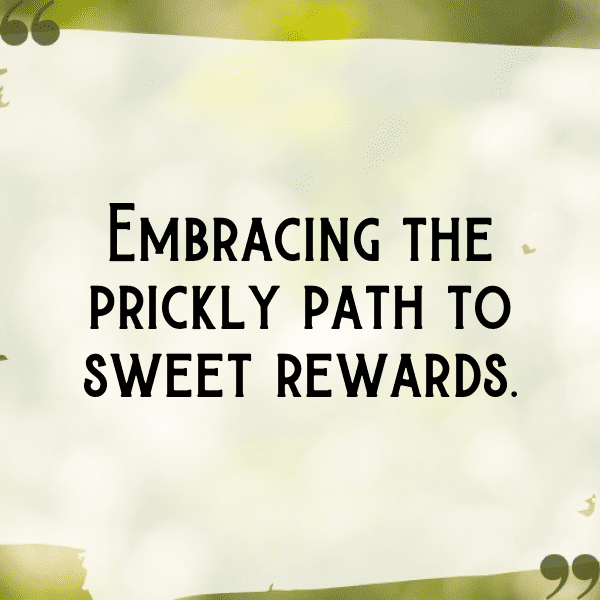 Prickly Pear Captions Photo For Instagram-Ib3osL