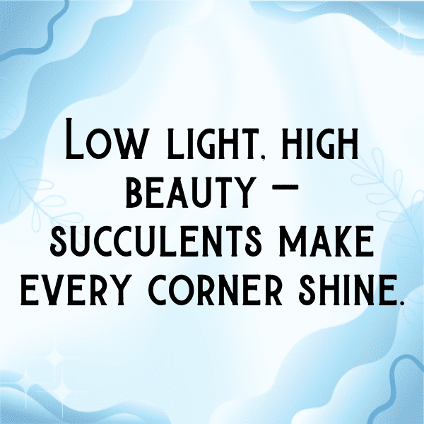 Prickly Pear Captions Photo For Instagram-kMm1fJ