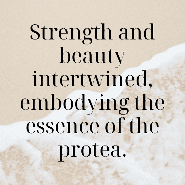 281+ Protea Captions For Instagram (Trending, Funny & Top) 4 Protea Captions Image For Instagram-JpfSWc