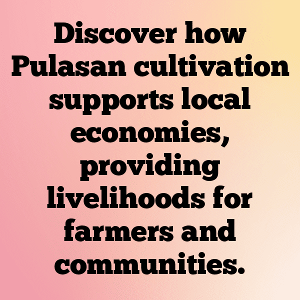 332+ Pulasan Captions For Instagram (Trending, Funny & Top) 6 Pulasan Captions Image For Instagram-hJIaC0