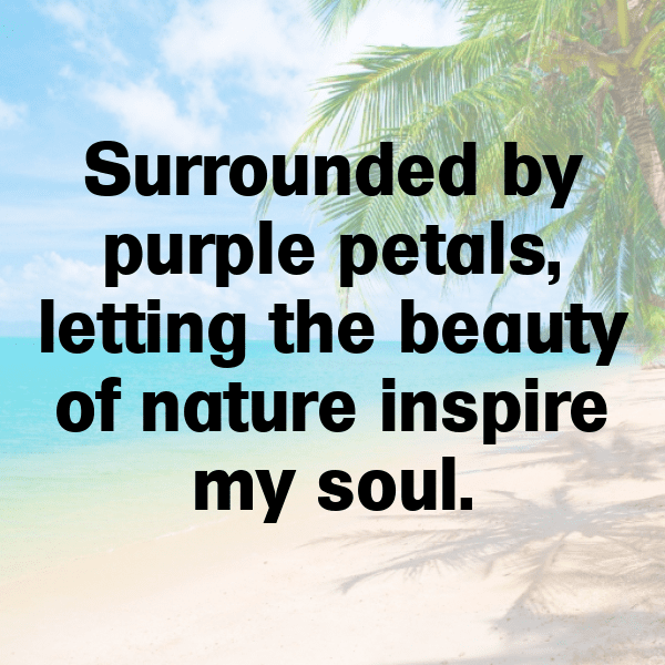 Purple Carrot Captions Image For Instagram-dW5KZt