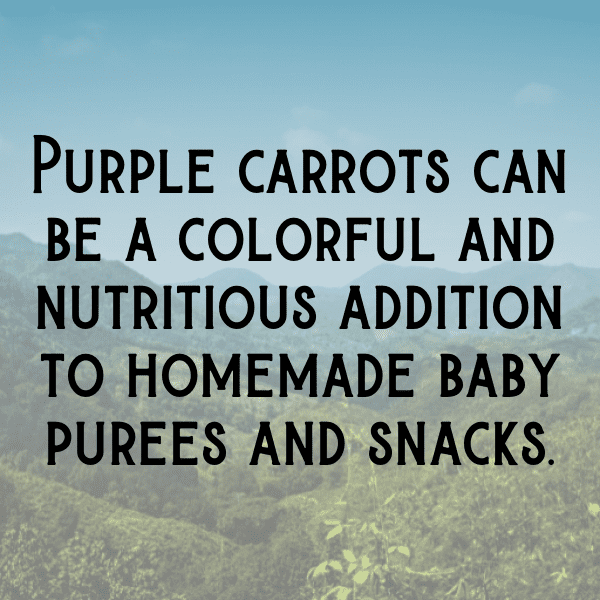 Purple Carrot Captions Photo For Instagram-zbJdgU