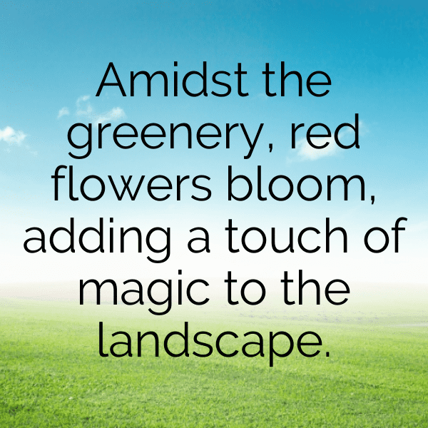 Purslane Captions Photo For Instagram-xPj0wY