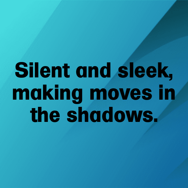 213+ Python Captions For Instagram (Fresh & Trendy) 16 Python Captions Image For Instagram-jtTCfn