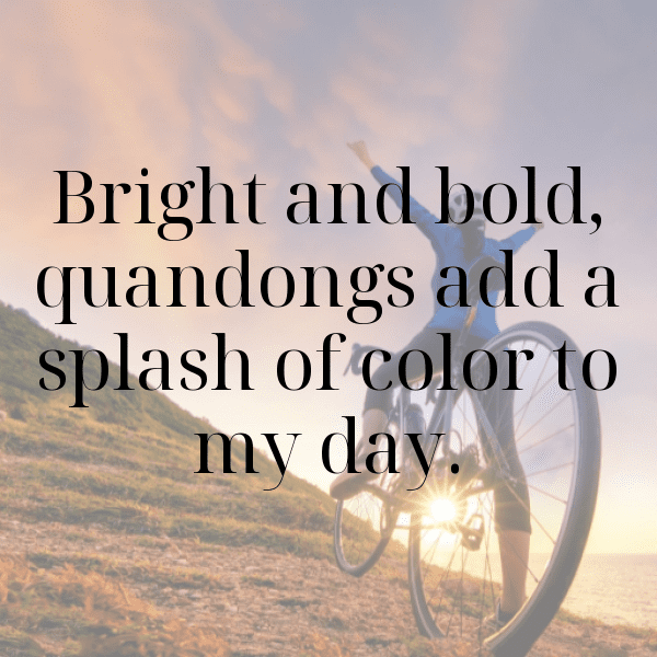 224+ Quandong Captions For Instagram (Best, Funny & Short) 7 Quandong Captions Image For Instagram-MTpAVd