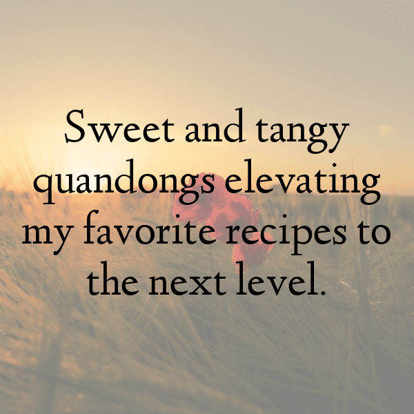 224+ Quandong Captions For Instagram (Best, Funny & Short) 5 Quandong Captions Image For Instagram-pWtUsT