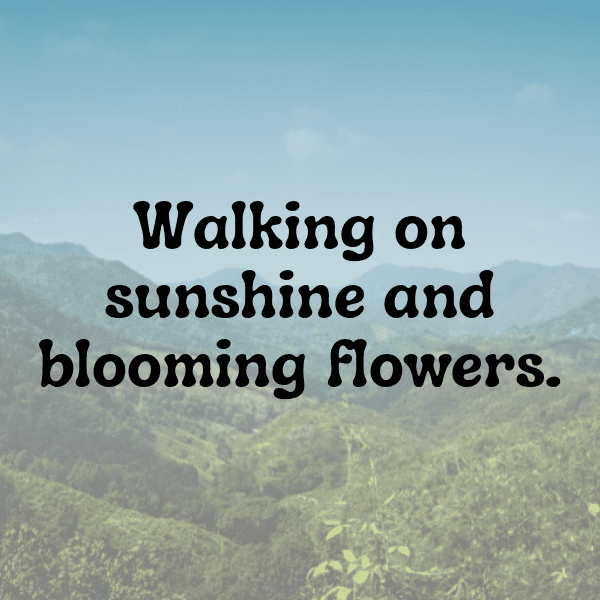 224+ Quandong Captions For Instagram (Best, Funny & Short) 8 Quandong Captions Image For Instagram-w15IM9