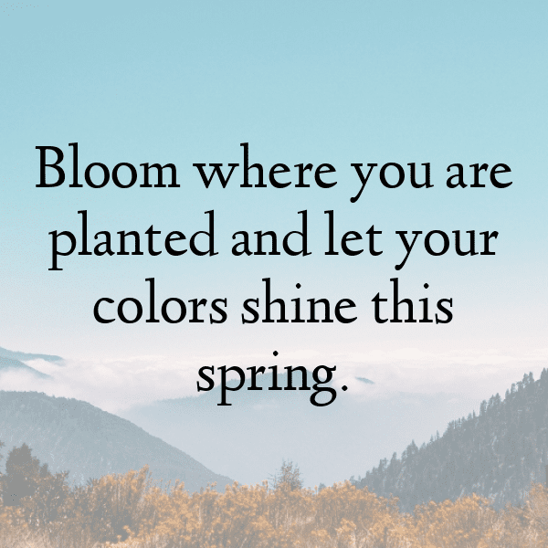 224+ Quandong Captions For Instagram (Best, Funny & Short) 10 Quandong Captions Photo For Instagram-03oS8S