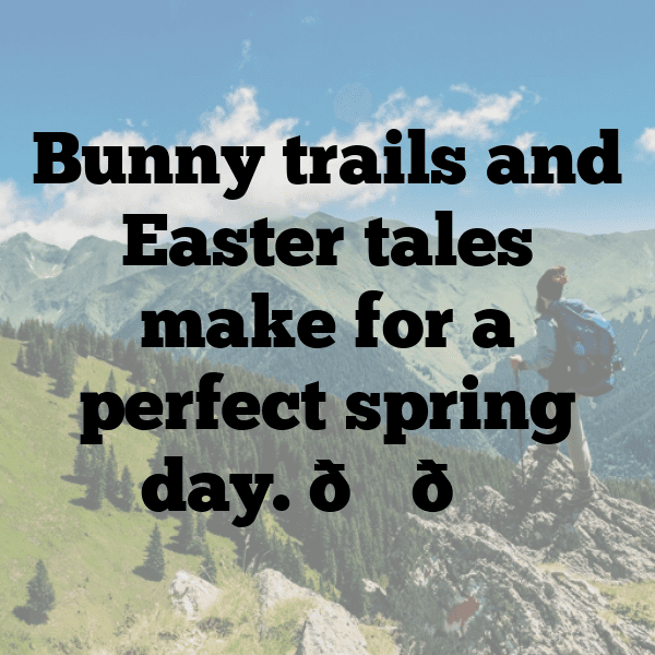 303+ Rabbit Captions For Instagram In 2025 15 Rabbit Captions Image For Instagram-cclKQP