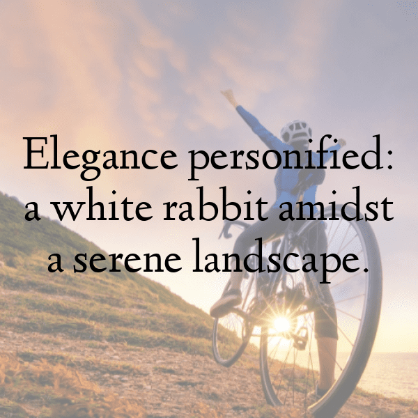 303+ Rabbit Captions For Instagram In 2025 20 Rabbit Captions Image For Instagram-gckPjA