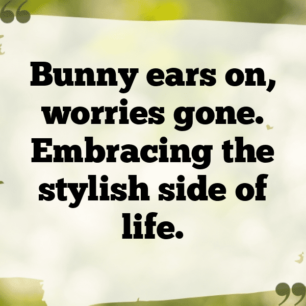 303+ Rabbit Captions For Instagram In 2025 18 Rabbit Captions Image For Instagram-KPnfr7