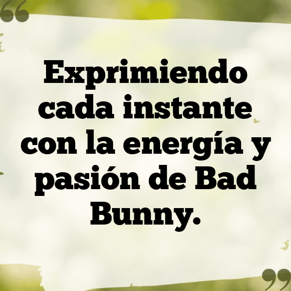 303+ Rabbit Captions For Instagram In 2025 12 Rabbit Captions Photo For Instagram-9nyoD3