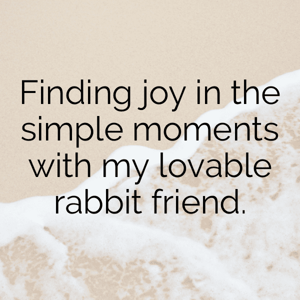 303+ Rabbit Captions For Instagram In 2025 8 Rabbit Captions Photo For Instagram-Ks5m5N